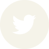 twitter bird logo